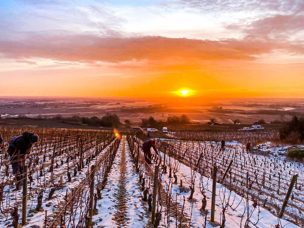Guide to Burgundy