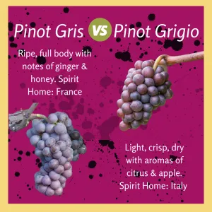 Pinot Gris vs Pinot Grigio