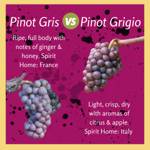 Pinot grigio v pinot gris hotsell