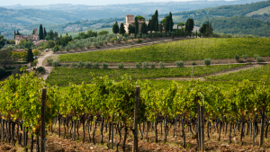 Chianti Classico