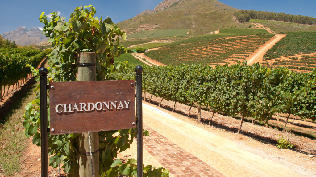 Celebrate Chardonnay Day with These 6 Wine Regions Palate Club